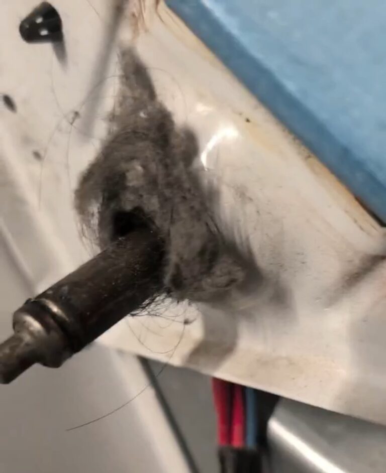 Lint and hair packed around the rear drum shaft of a Whirlpool dryer, found during a repair in San Antonio